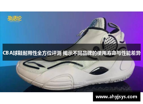 CBA球鞋耐用性全方位评测 揭示不同品牌的使用寿命与性能差异