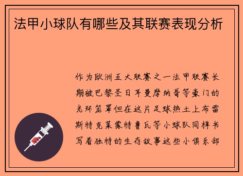 法甲小球队有哪些及其联赛表现分析